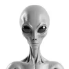 bigalien16