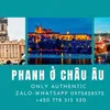 anh.doan561