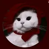 Jᥱnnífᥱr Lყყ ⌕