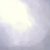 runi00486