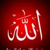 hashemirad4