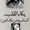 user8593850832232