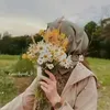 mdshain3016