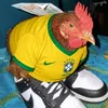 daviguimaraess260