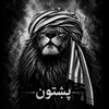itsmohammadi0