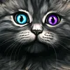 user5193909357255