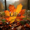 liliia9766