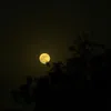 A.