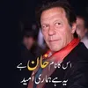 malikanwarzebkhan