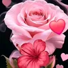 amirdad.313