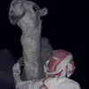 ibrahim_harbi