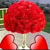layla.aqmal