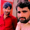 mirfanlashari3131