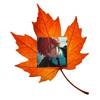 akitoleaf