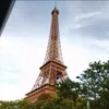salvador.paris1