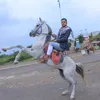 flklyykl35gmail.com0