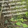 odskakuci79