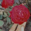 s__queen135