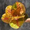 zenithblooms88
