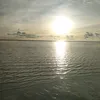 nusratjabin712