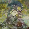 arisha_l0