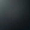 _shelby__10