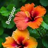 maddy7305