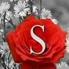 shuk.tara91