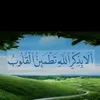 mohalshameri657_