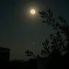 nona.ibrahim233