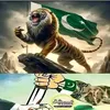 muhammad.aziz7083