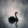 m____h__43
