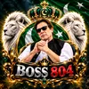 BOSS 804