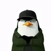 MrPingvin