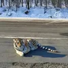 omgambabitch35