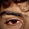 shamm_9977