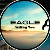 eaglewalkingtour