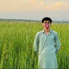 shirafgan8