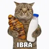 iboshm7