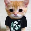 immortan_00