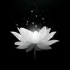 minh.hoang_td