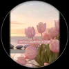 user3210638615087