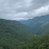 luz_luz84