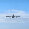 dimon787dsc