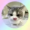ilovecats28362