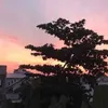 vudieggkjjb