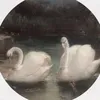 s_h_q22