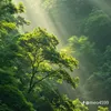 khnhvitnguyn1