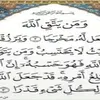 user521498281252