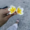 kathgolap6499